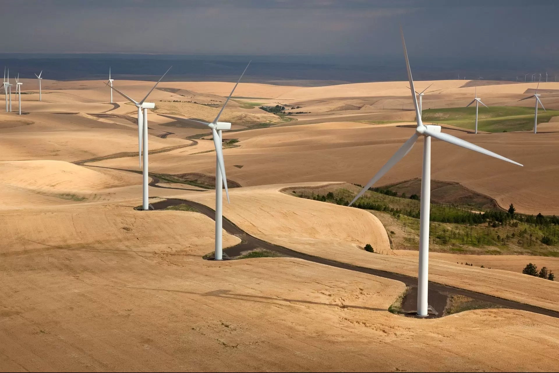 A wind farm with rows of utility-scale turbines stretching across an open landscape.